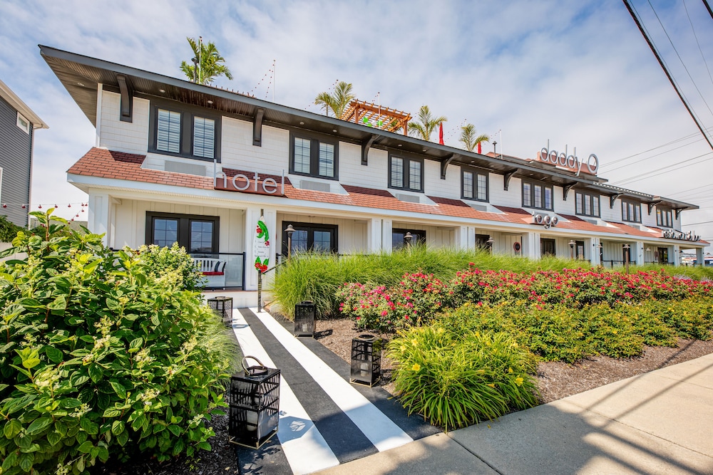 Daddy O Hotel 46/50