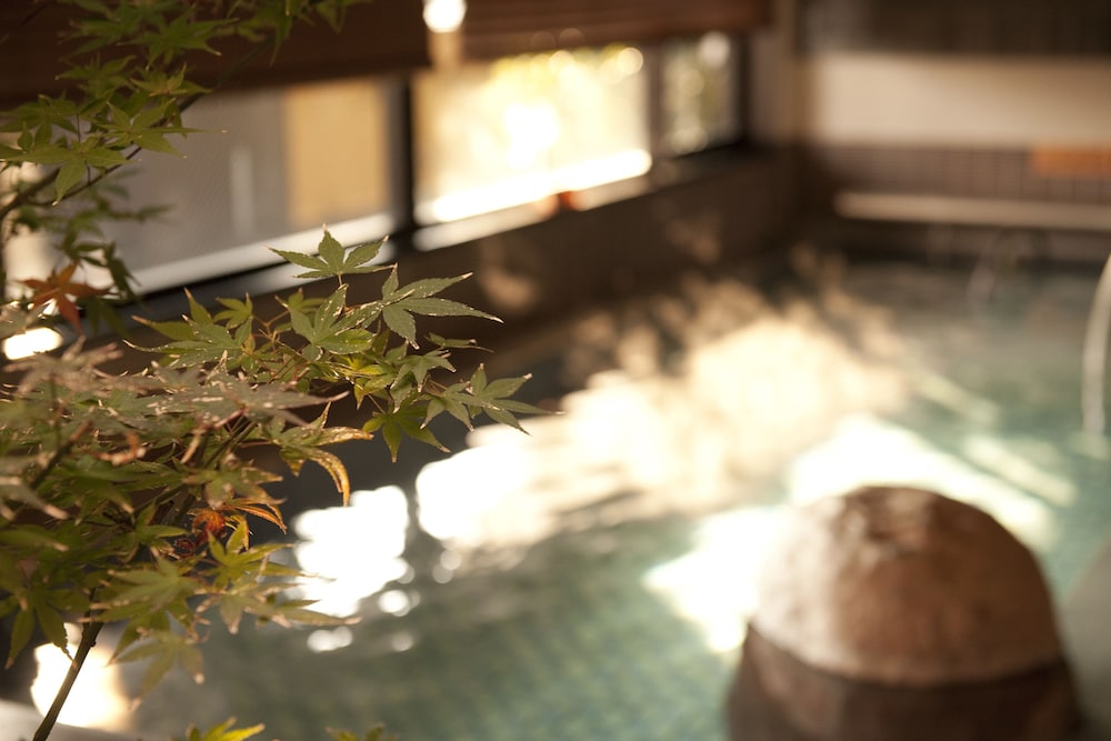Dormy Inn Premium Kyoto Ekimae 27/37
