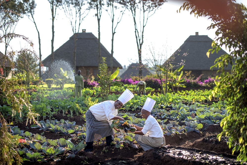 Neptune Ngorongoro Luxury Lodge - All Inclusive 36/50