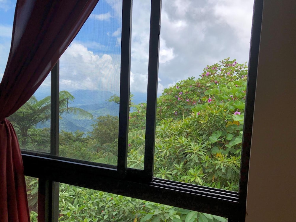 Vista Verde Lodge 12/50