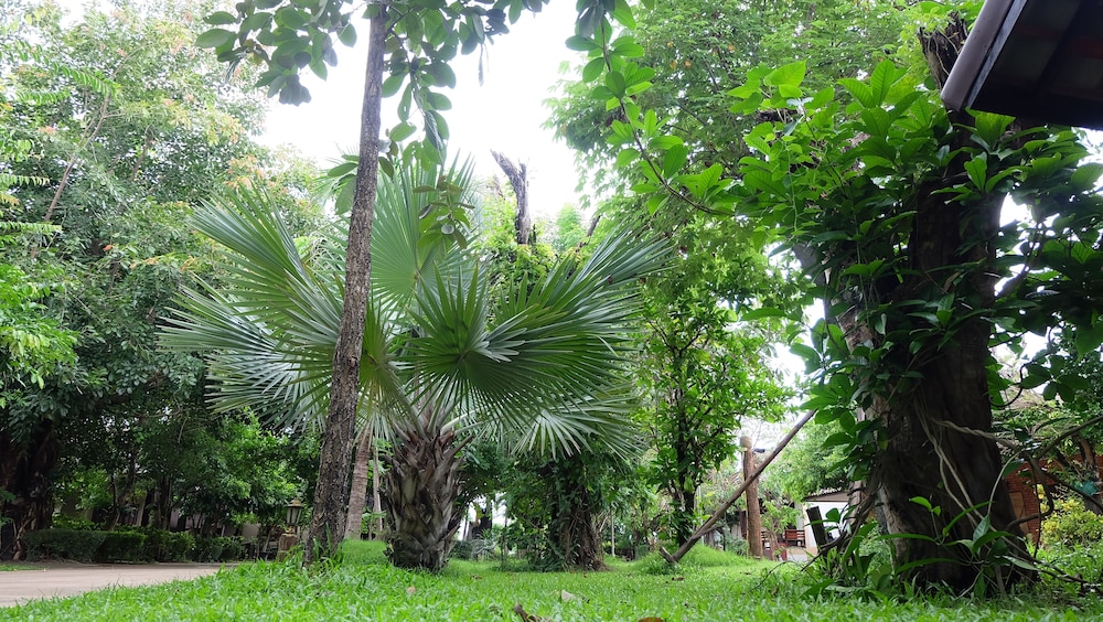 Big Tree Resort 37/45