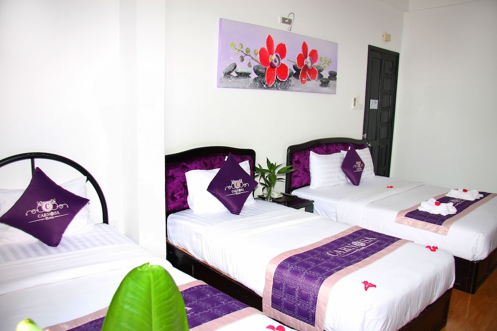 Carnosa Hotel 14/65