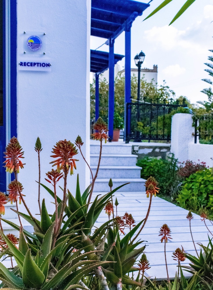 Dedalos Studios Naxos 46/50