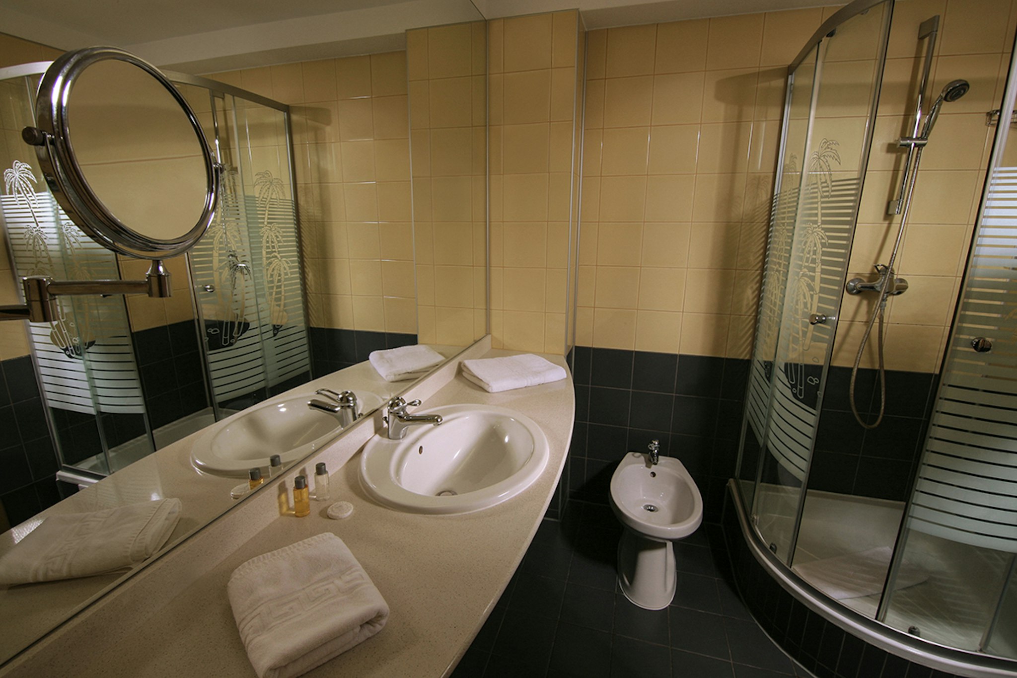 Reghina Blue Hotel Timisoara 19/19