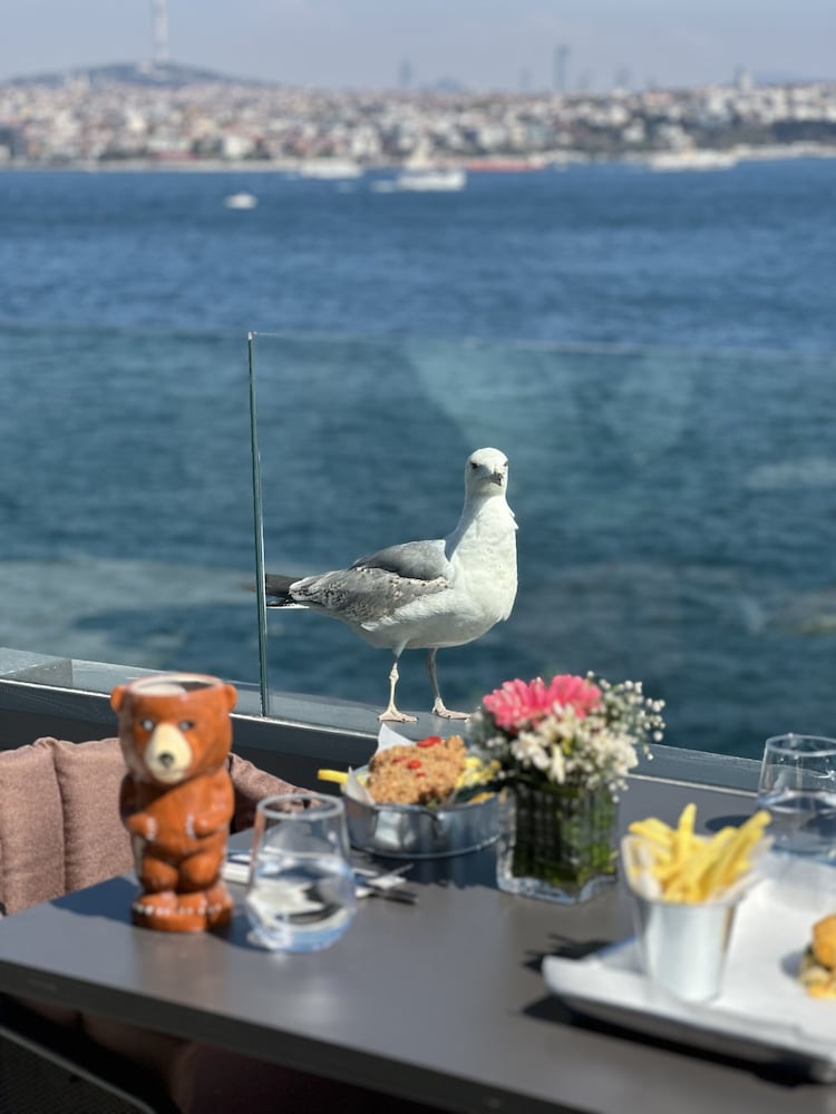 Pera Bosphorus Hotel 45/50