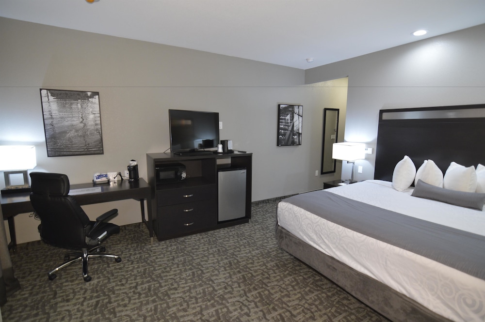 Best Western Plus Bay City Inn & Suites 18/44