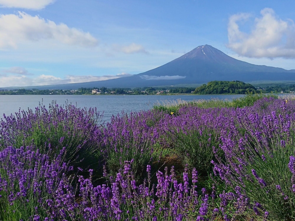 Lake Villa Kawaguchiko 54/70