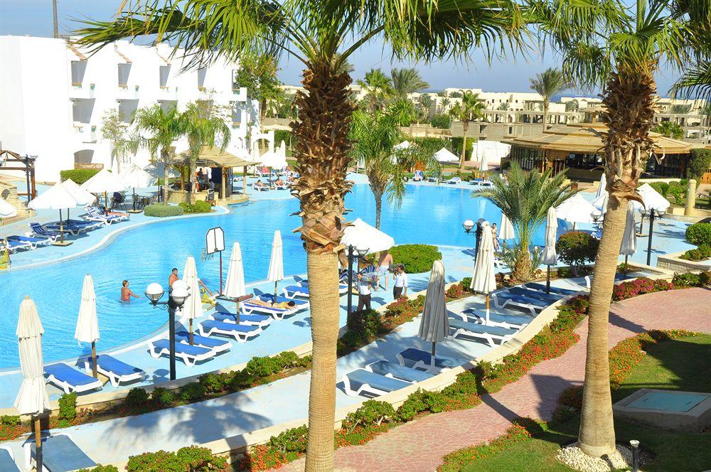 Ivy Cyrene Sharm Resorts Adults Only +13 46/50