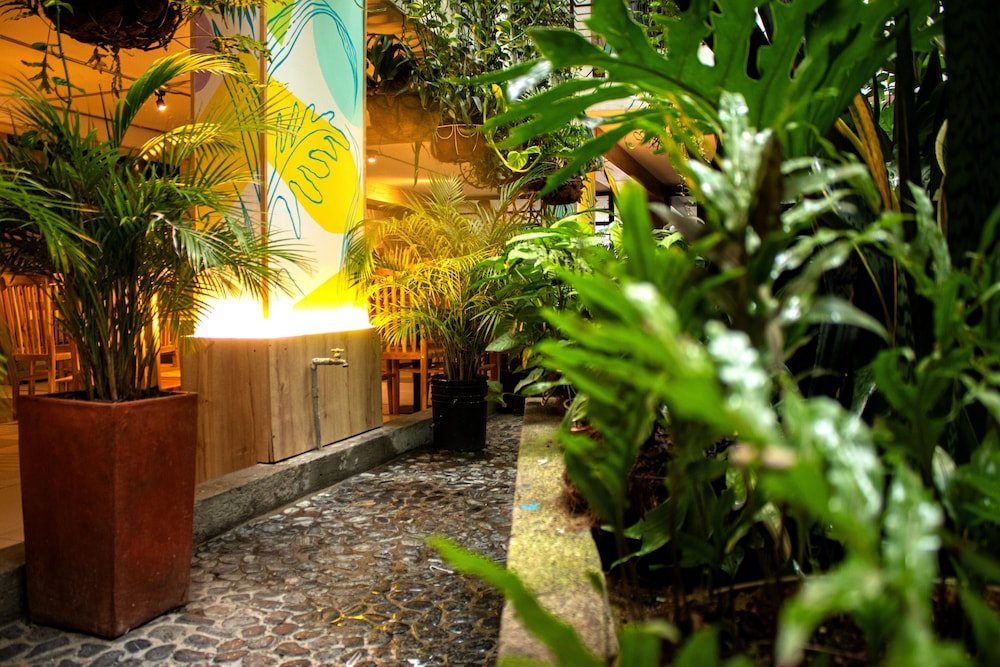 Hotel Natural Medellin 55/62