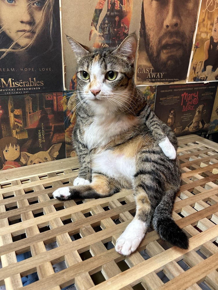 Ximen Triple Tiger Hostel 9/50