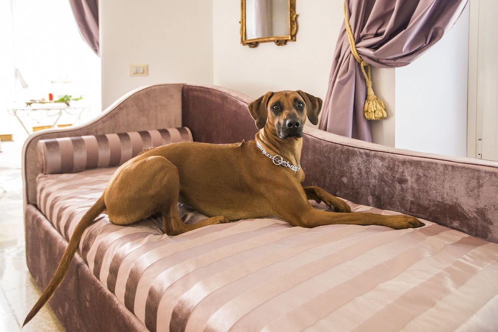 Trastevere Royal Suite 42/53