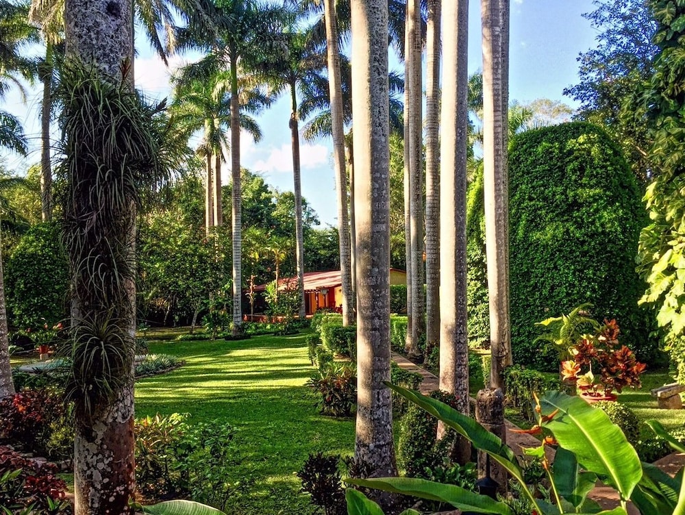 surroundings