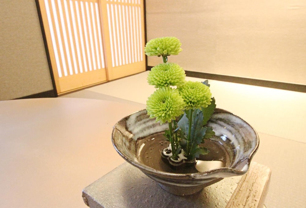 Hosta Nijo Aoi 19/35