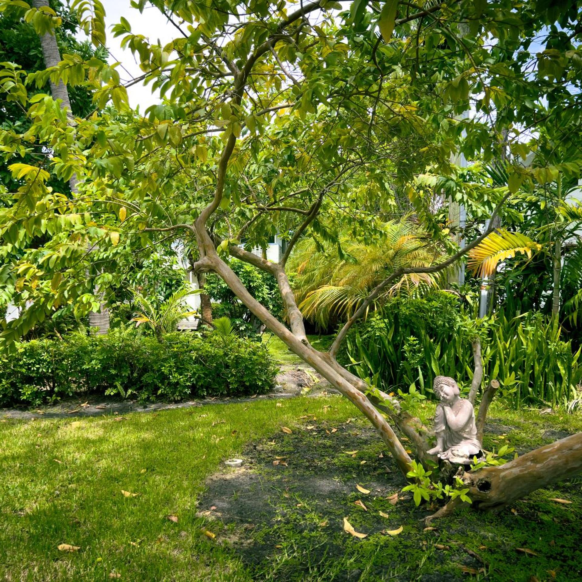 Beach Gardens A North Beach Village Resort Hotel 89/100