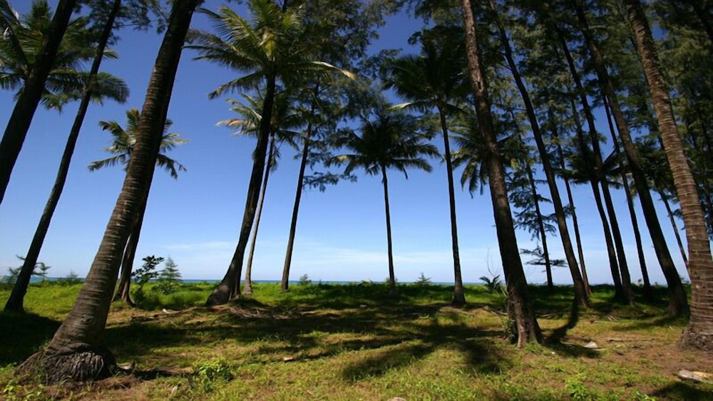 Khao Lak Blue Lagoon Resort 23/42