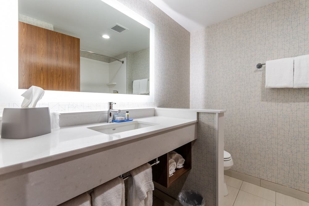 Holiday Inn Express Suites Chilliwack East 12/34