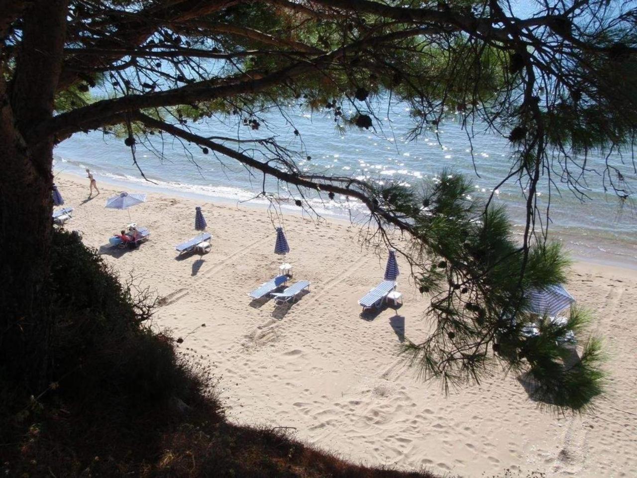Golden Sand Hotel 26/34