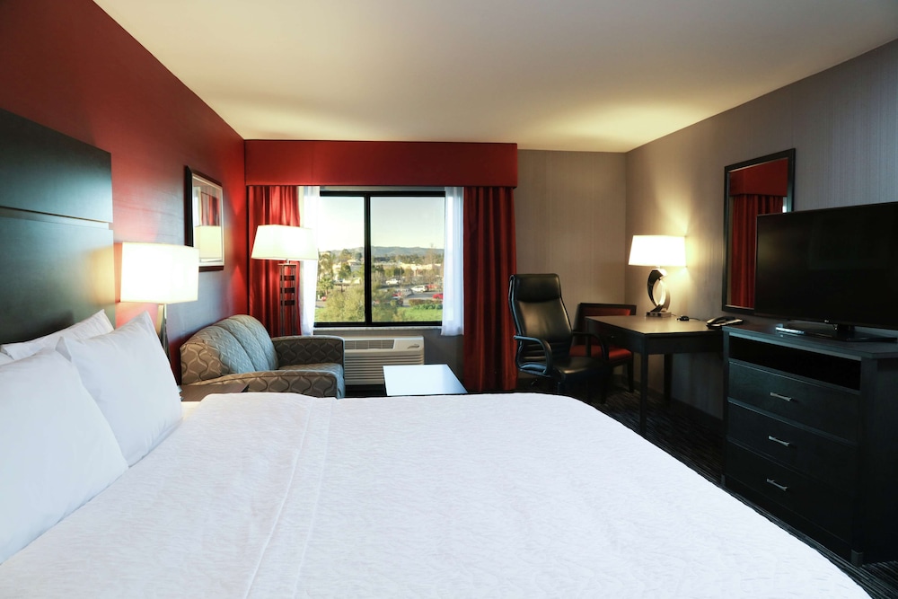 Studio, Suite, King Bed, Sofa