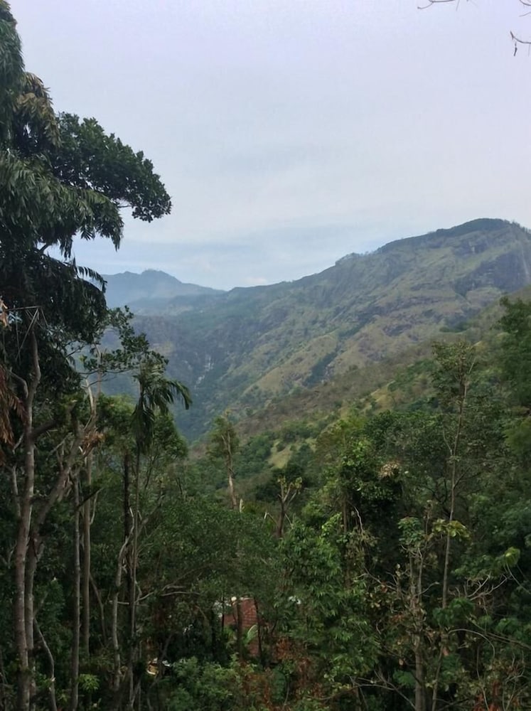 Ella Camping Resort 47/54