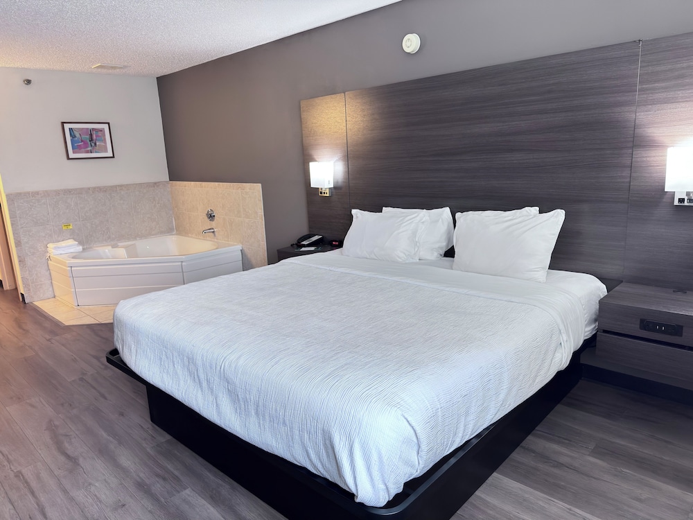 Upgrade, Suite, King Bed
