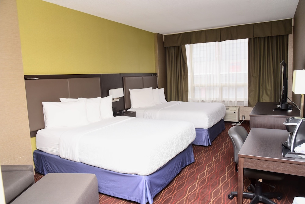 STANDARD, 2 DOUBLE BEDS, PET FRIENDLY