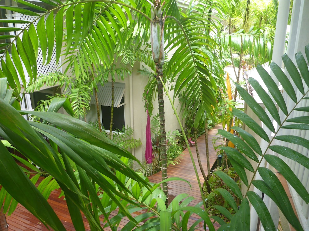 Palm Cove Tropic Apartments 24/26