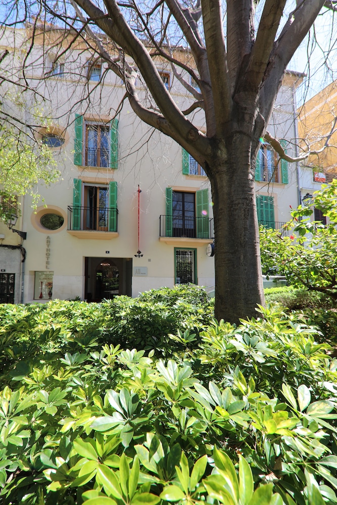 Art Hotel Palma 59/66
