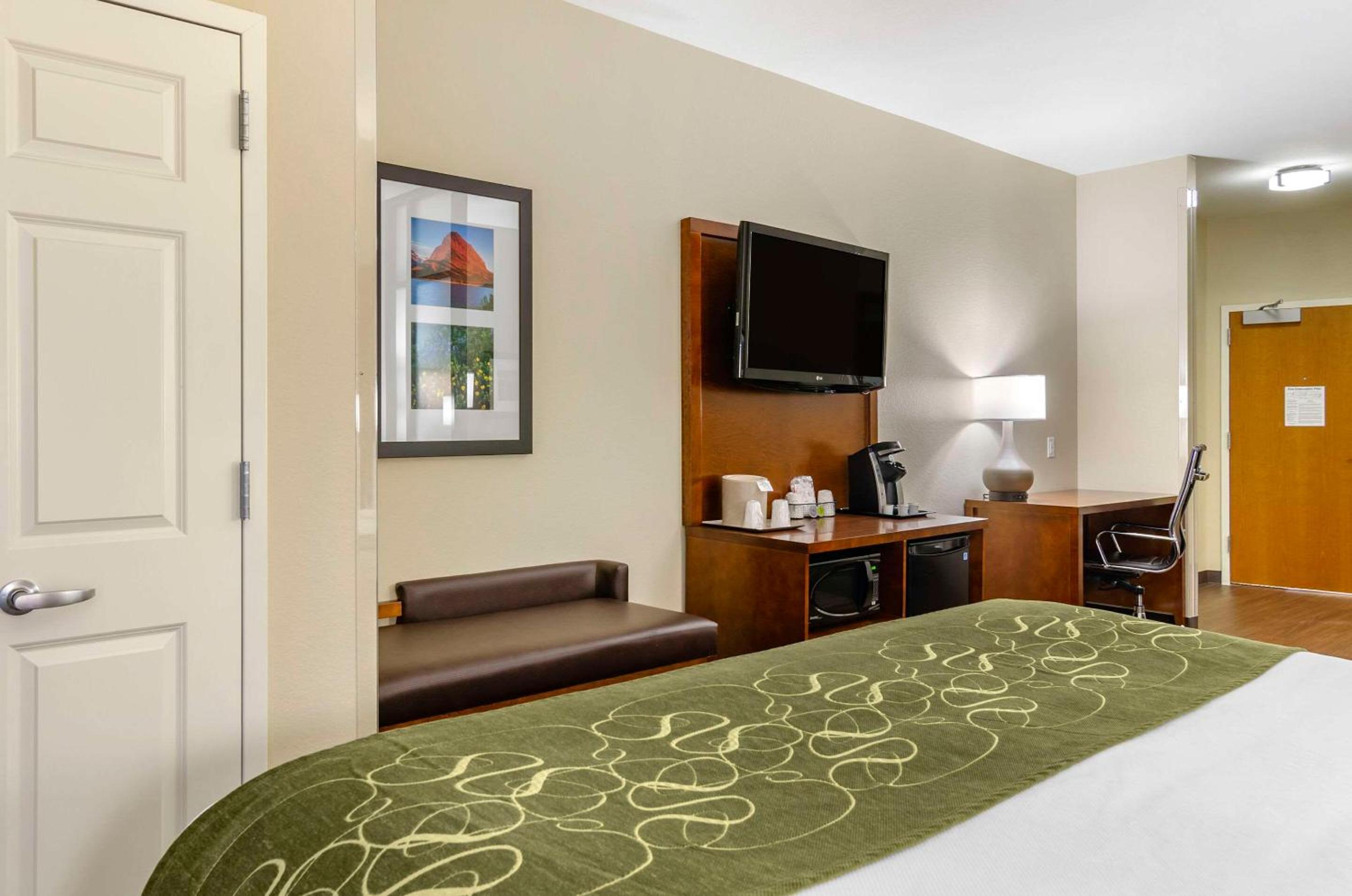 Suite, King Bed, Pet Friendly