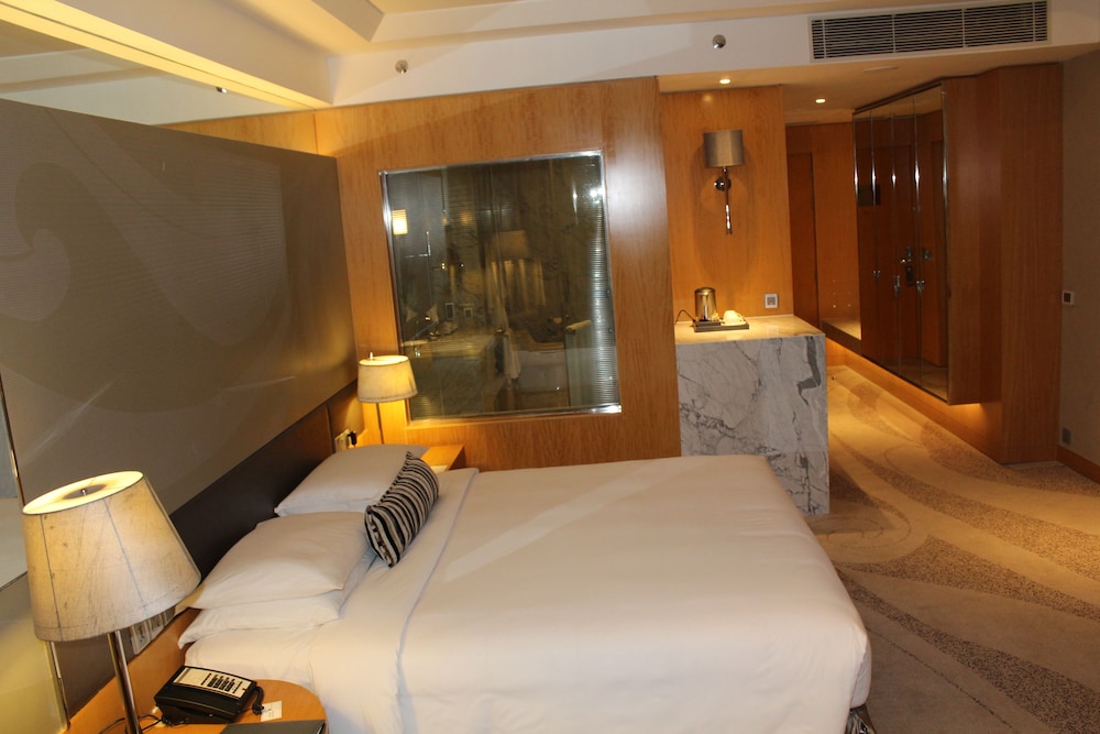 HYATT REGENCY GURGAON 19/70