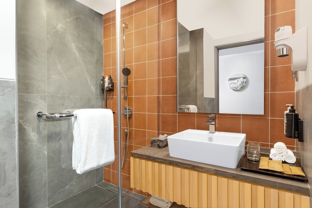 ibis Styles Mysuru 73/73