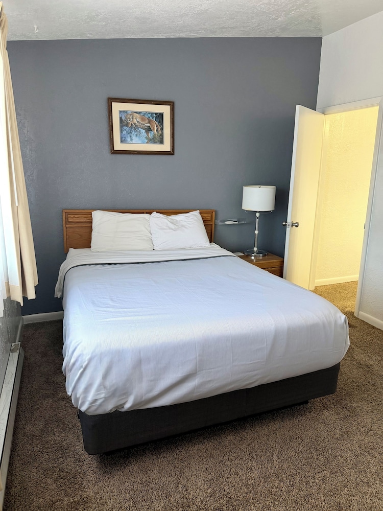 Bristlecone Motel 15/50