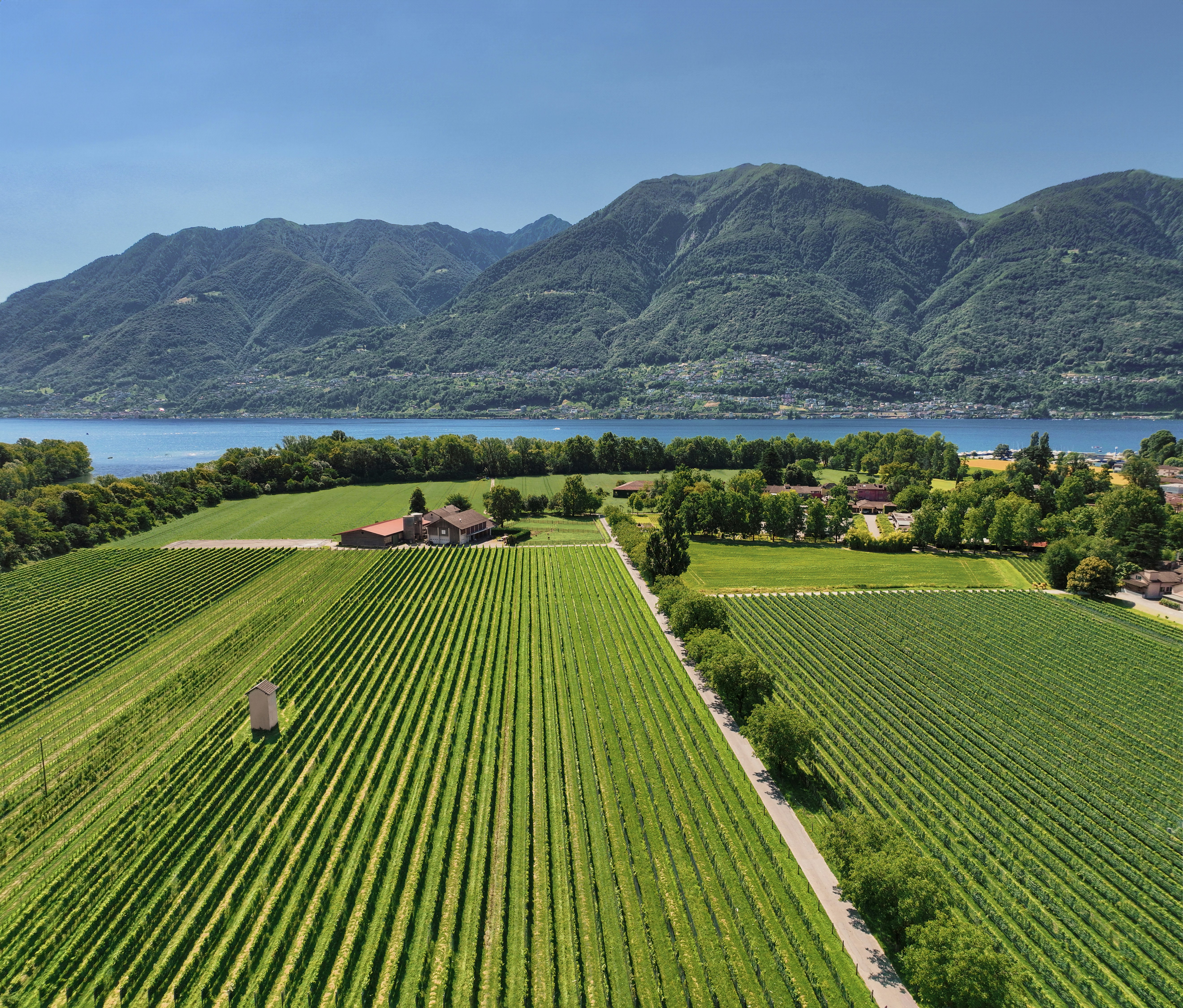 Castello Del Sole Ascona 44/50