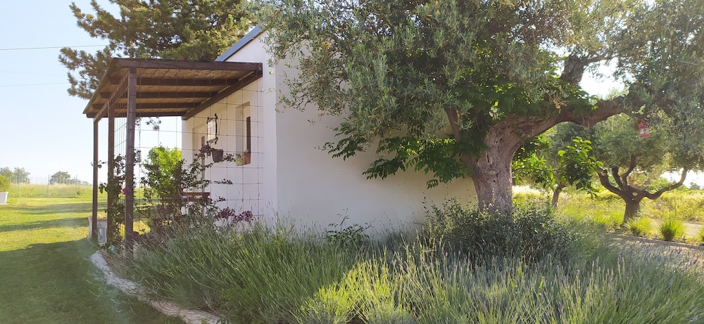 Il Giardino Fra Gli Ulivi 45/56