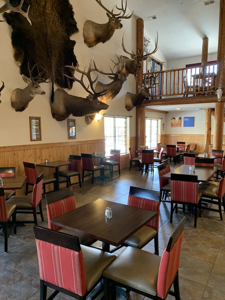 Antler Lodge 35/40