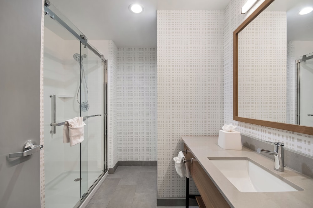 Hampton Inn & Suites by Hilton Irving DFW Airport North 51/56