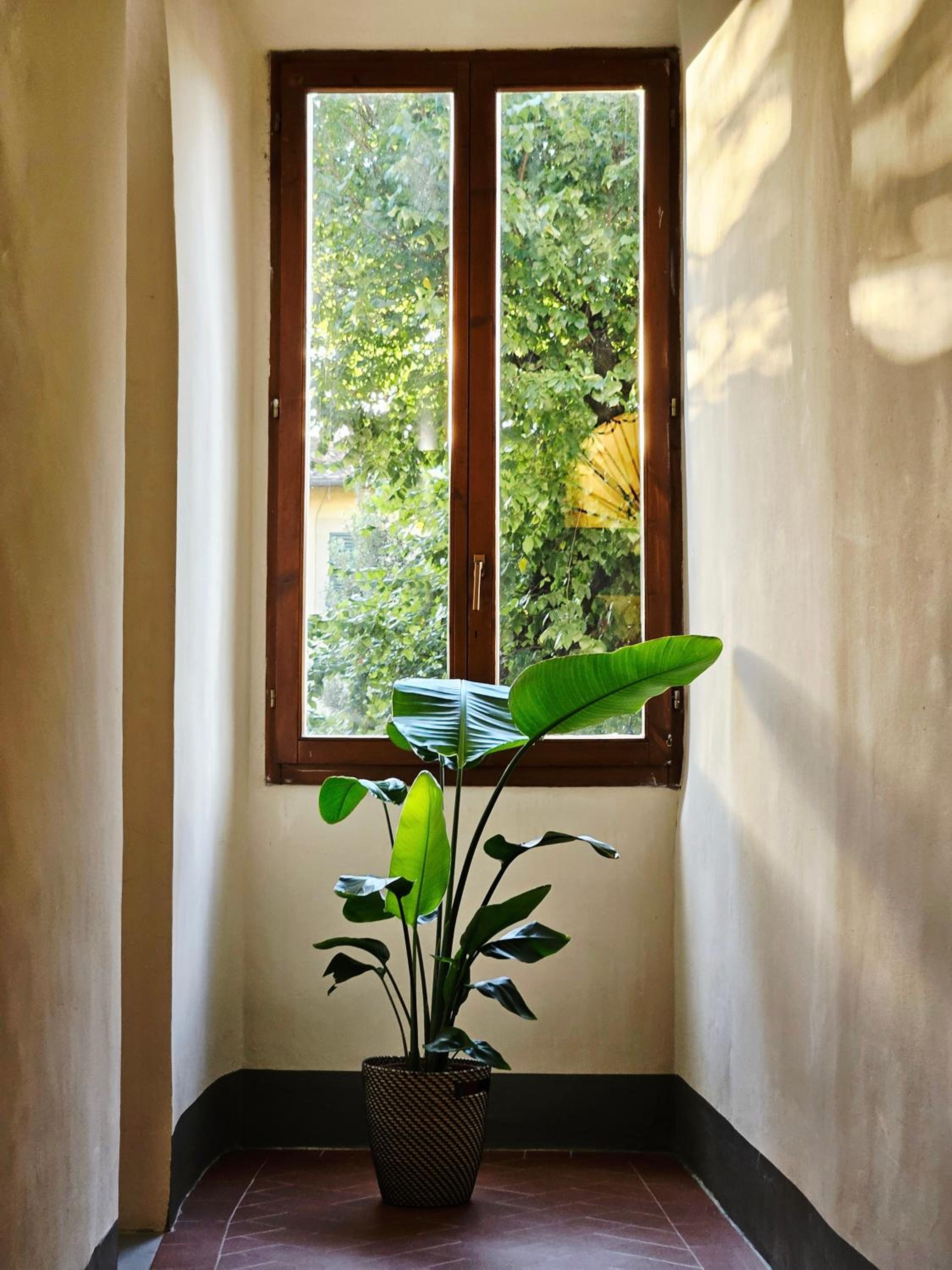 SPIRIT OF FLORENCE Boutique Rooms 10/15