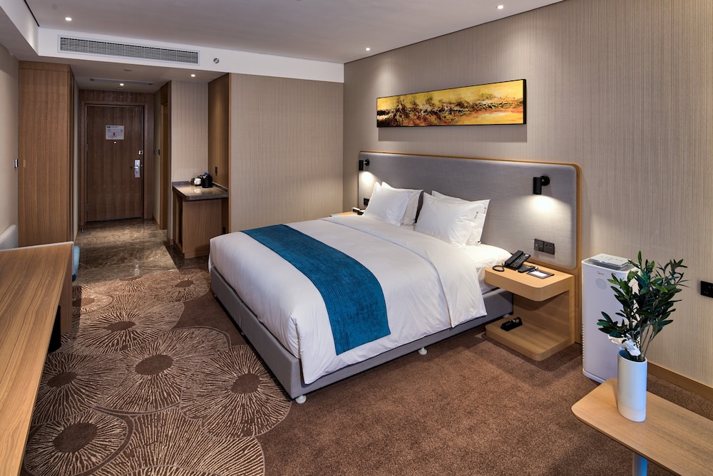 Holiday Inn Express Liaocheng Chiping 13/67