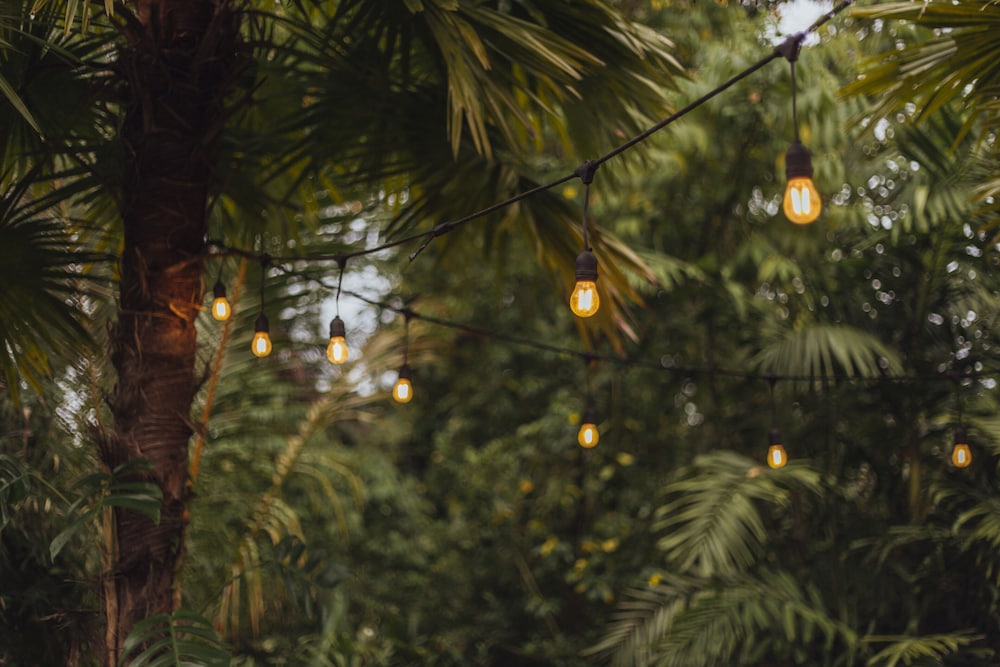 Hideout Eco Bamboo House Bali 54/59