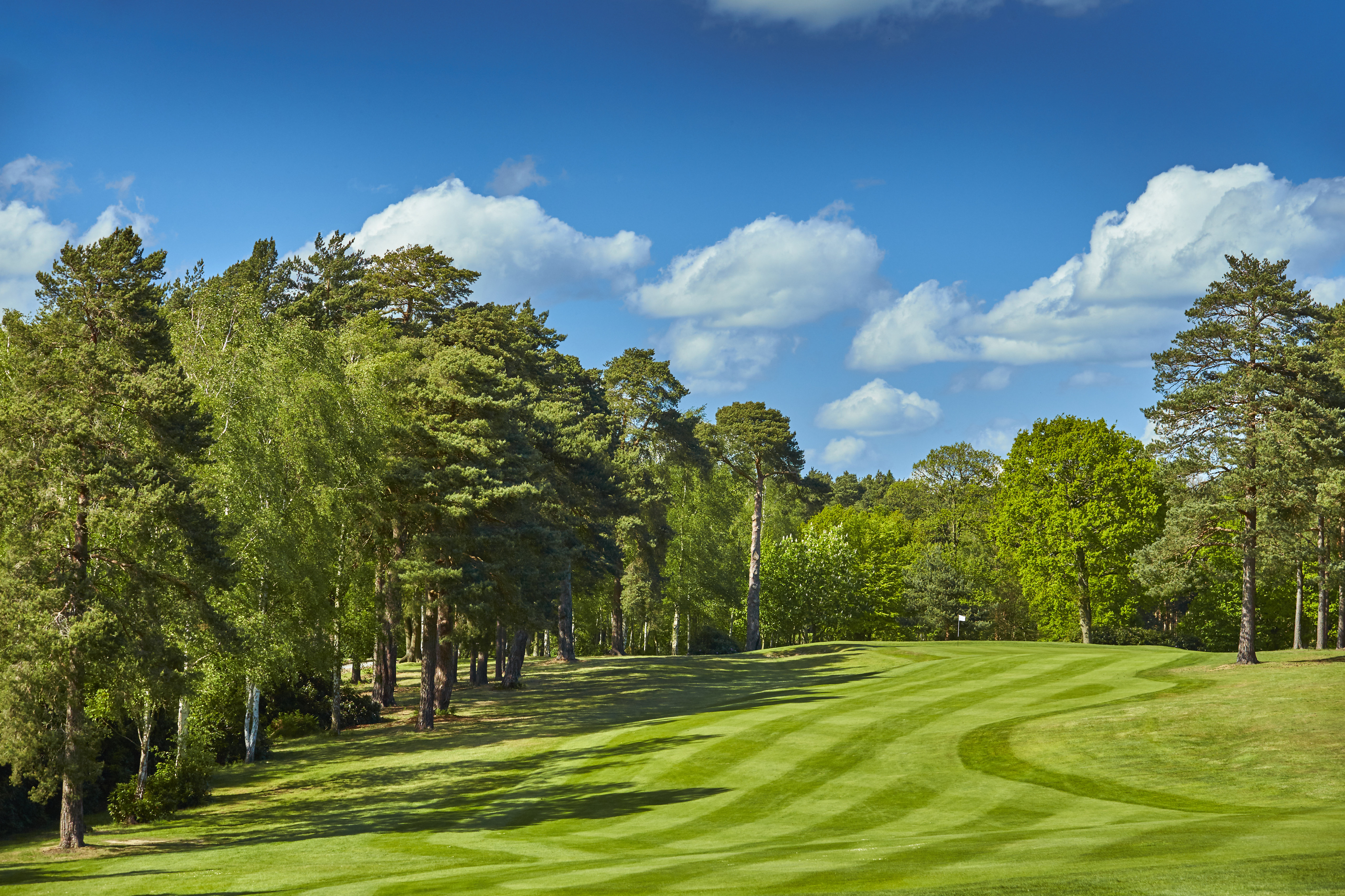 FOXHILLS CLUB AND RESORT WOKING 32/35