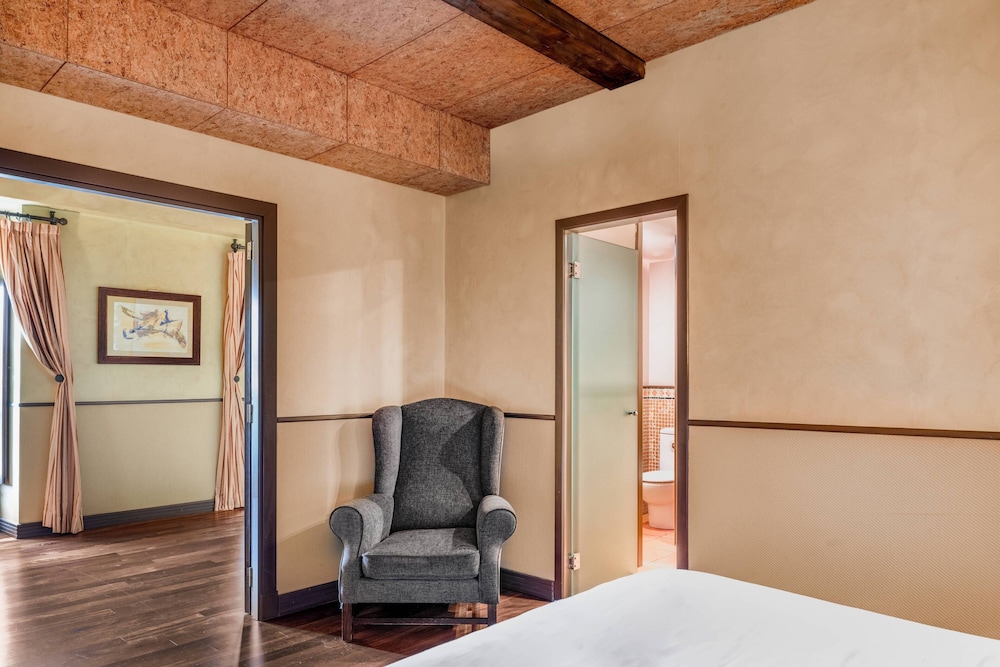 Hotel Palacio Del Carmen Autograph Collection 26/74