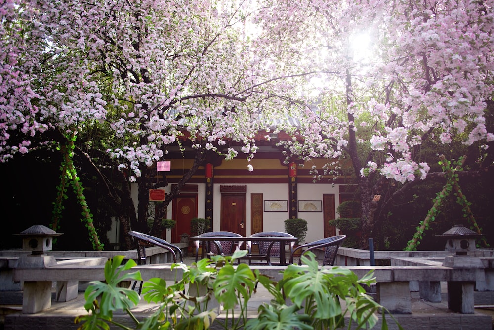 Tang Dynasty Art Garden Hotel 7/49