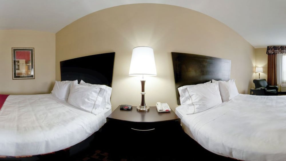 Holiday Inn Express Hotel Suites Snyder 18/54