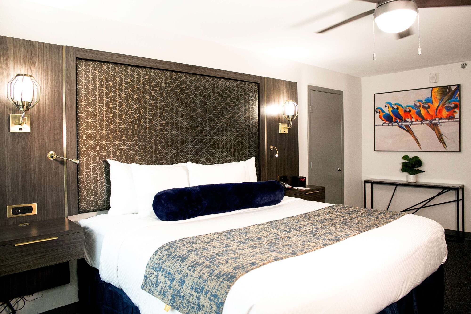 Premium, King Bed