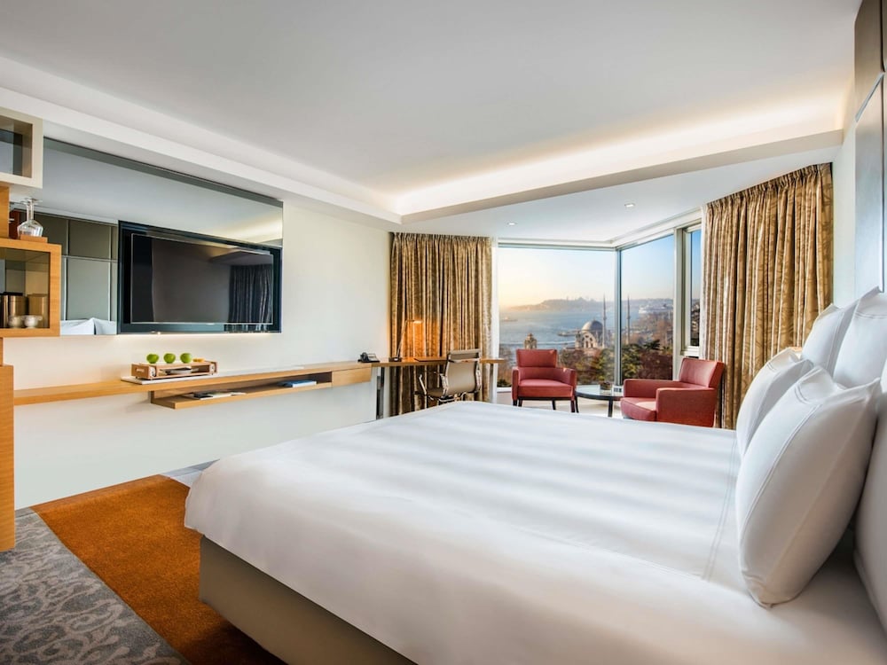 Swissotel The Bosphorus Istanbul 27/80