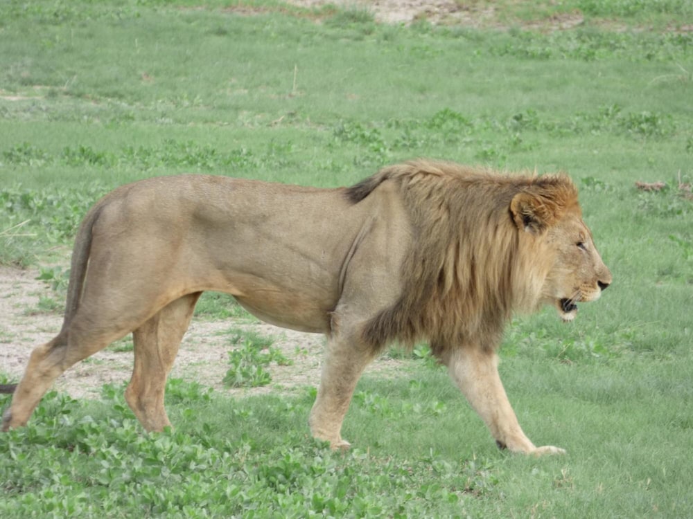 Tsumeb Backpackers 49/50