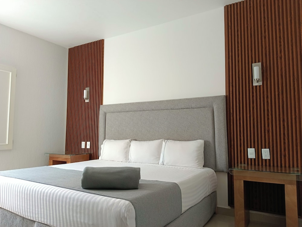 Hotel Zar Guadalajara 14/42