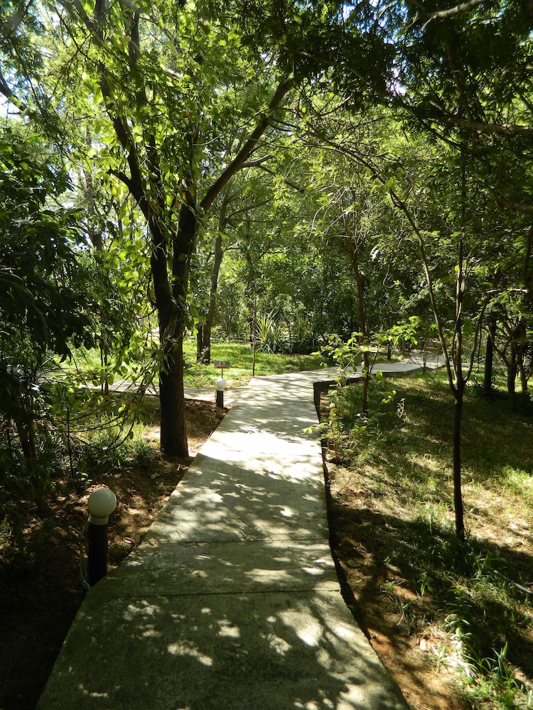 surroundings