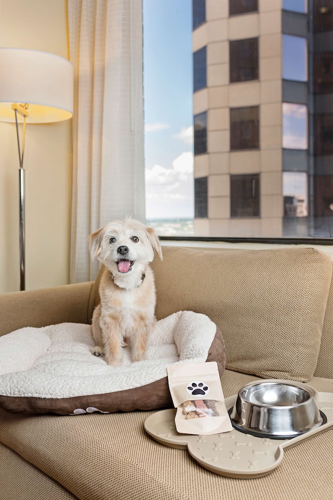 ハイアット リージェンシー ヒューストン(Hyatt Regency Houston) 写真3