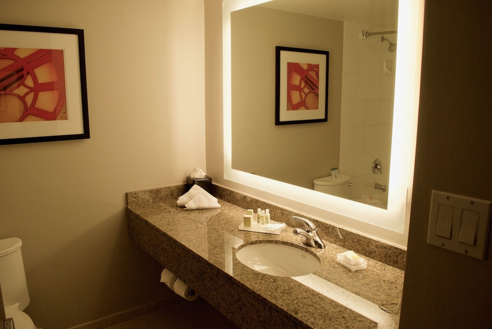 Holiday Inn Vancouver Airport Richmond 14/74