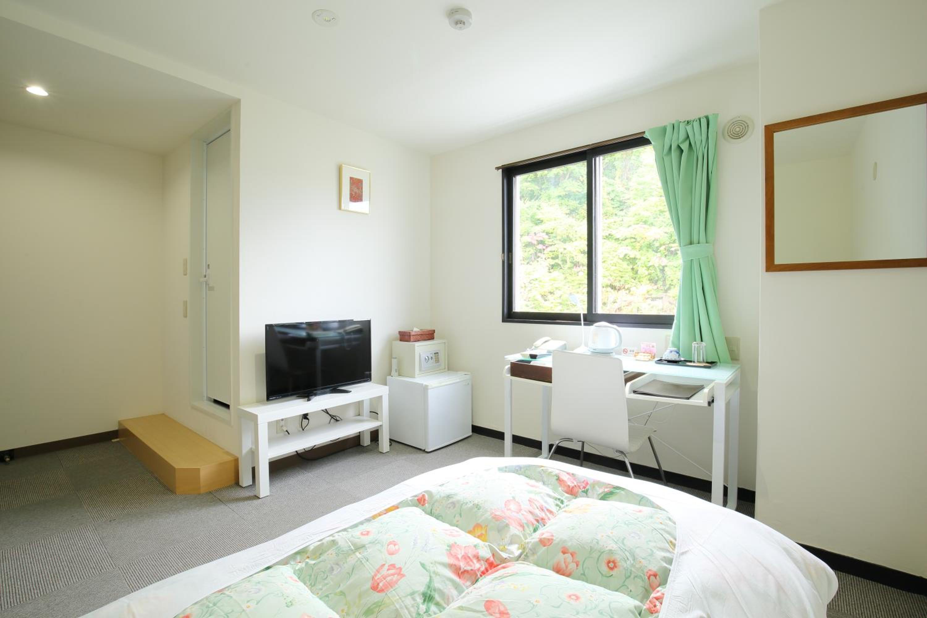 Room, Single, Mountain View